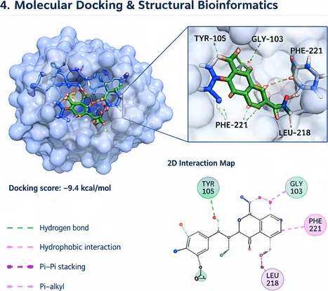 Demonstration figure: Molecular docking & structure analysis